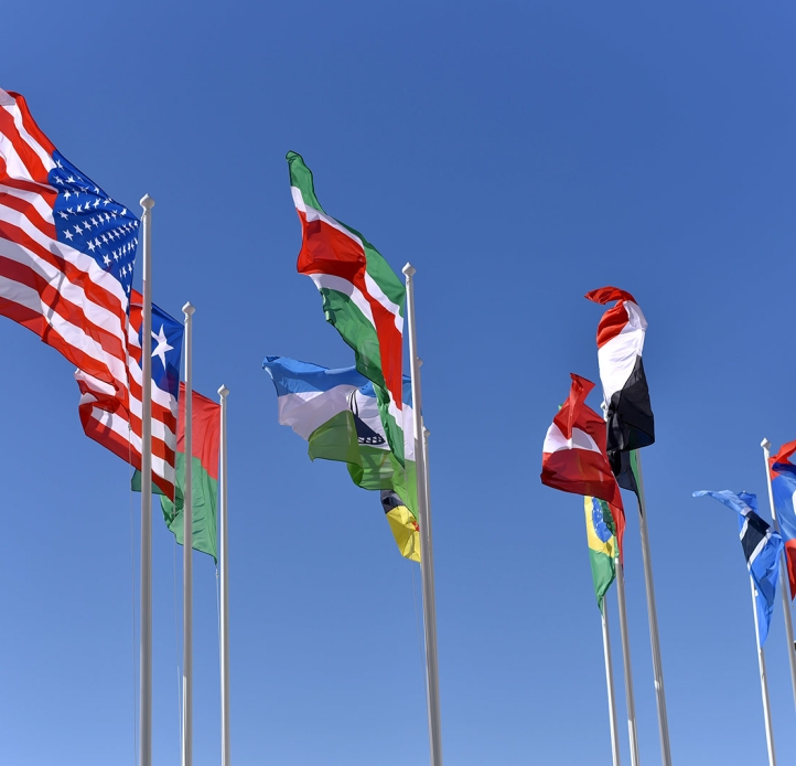 International flags waving