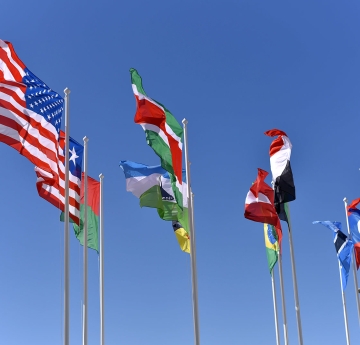 International flags waving